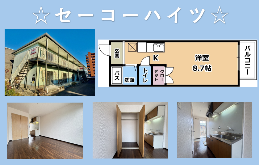 スタッフブログ